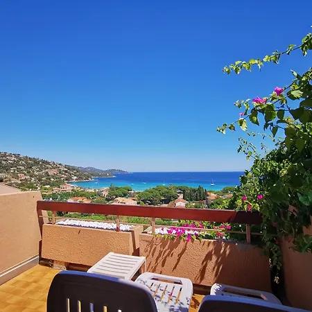 Apartment T2 Pour 4 Personnes Avec Terrasse, Vue Mer, Parking - Fr-1-803-36 *