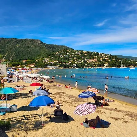 T2 4 Pers, Terrasse Vue - Fr-1-803-36 Le Lavandou